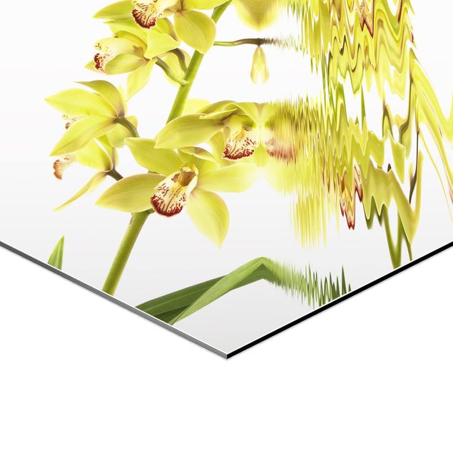 Sekskantede billeder Elegant Orchid Waters