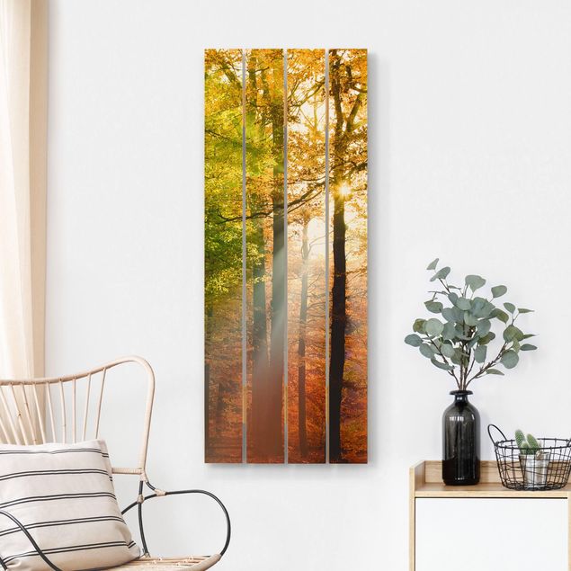 Prints på træ landskaber Morning Light