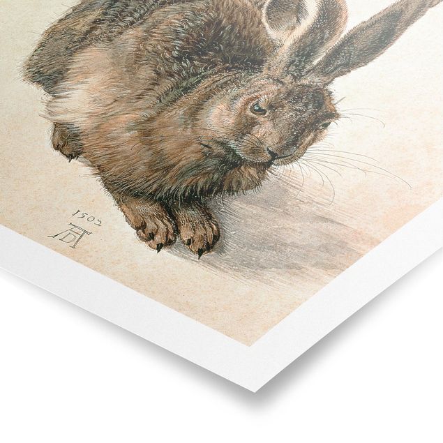 Plakater vintage Albrecht Dürer - Young Hare