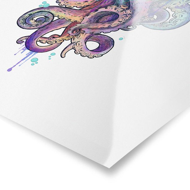 Billeder lilla Illustration Octopus Violet Turquoise Painting