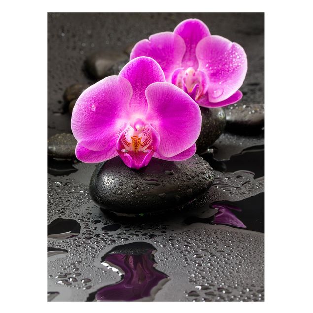 køkken dekorationer Pink Orchid Flower On Stones With Drops