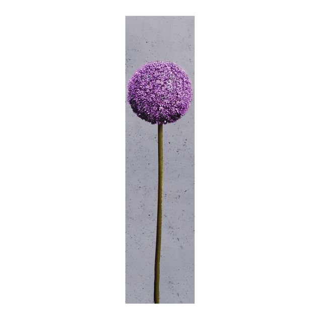 Panelgardiner blomster Allium Round-Headed Flower