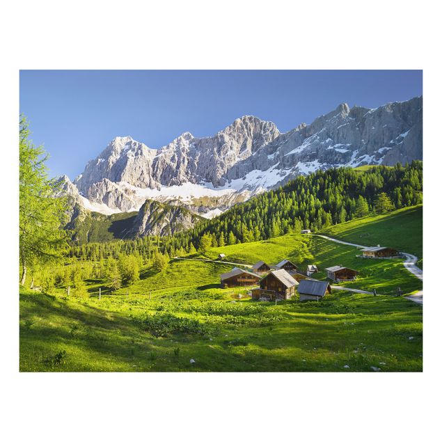 Billeder bjerge Styria Alpine Meadow
