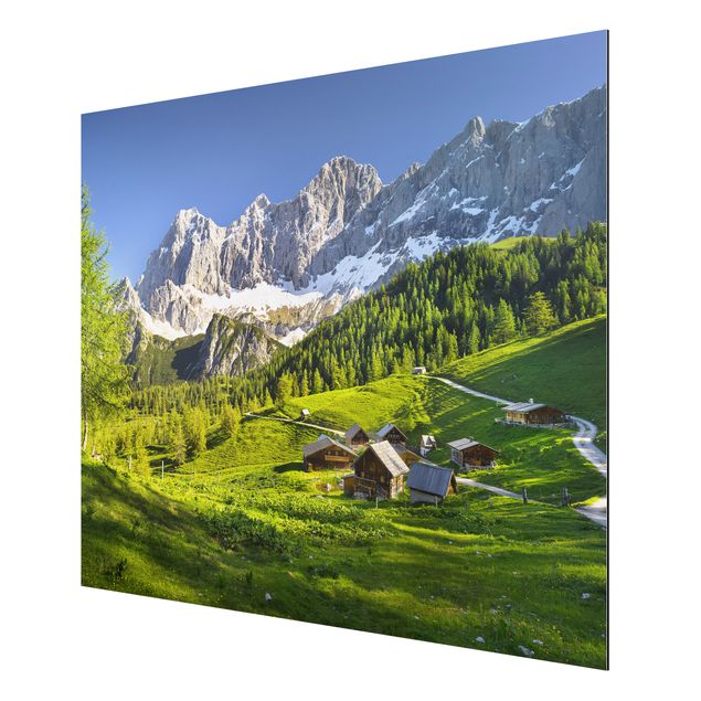Billeder landskaber Styria Alpine Meadow
