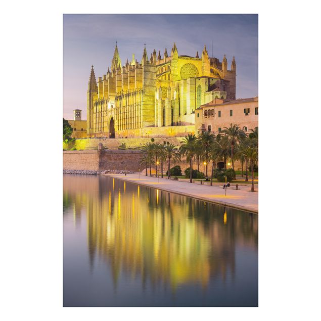 Billeder katte Catedral De Mallorca Water Reflection