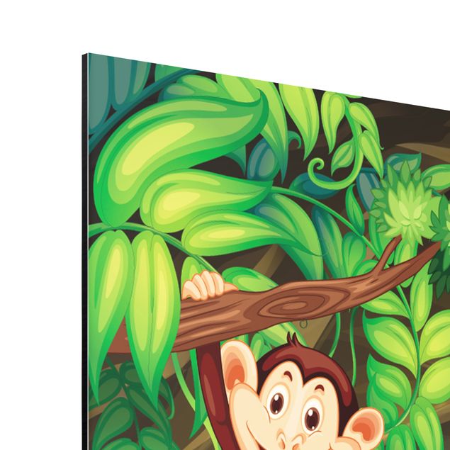Billeder Jungle Monkeys