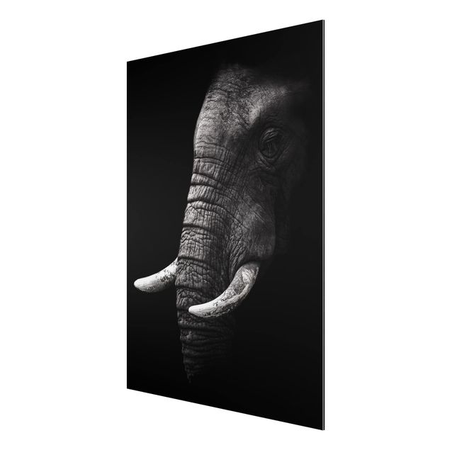 Billeder landskaber Dark Elephant Portrait