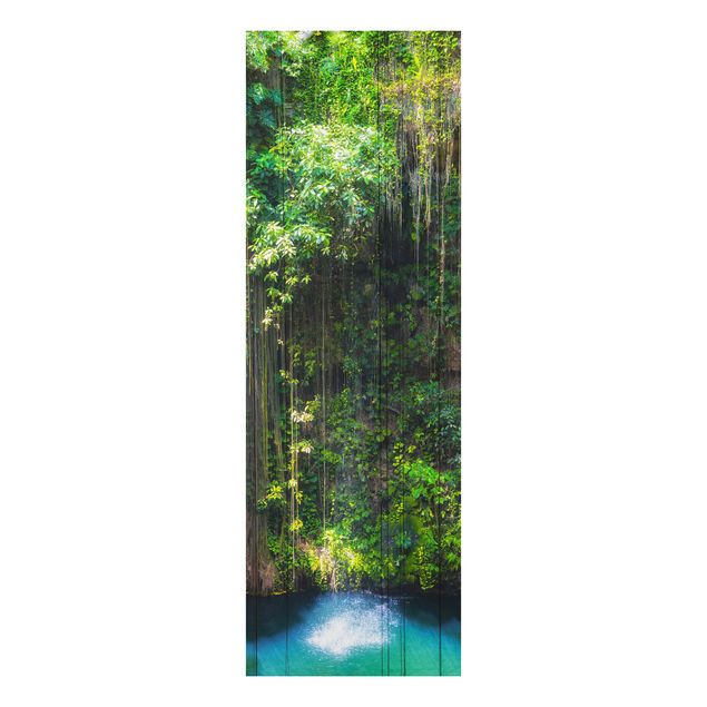 Billeder træer Hanging Roots Of Ik-Kil Cenote