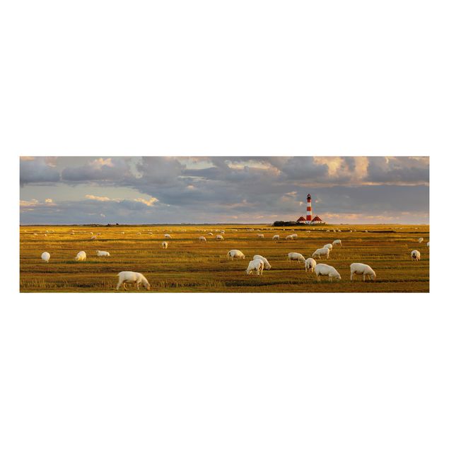 Billeder landskaber North Sea Lighthouse With Flock Of Sheep