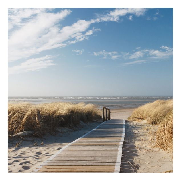 Billeder landskaber Baltic Sea Beach