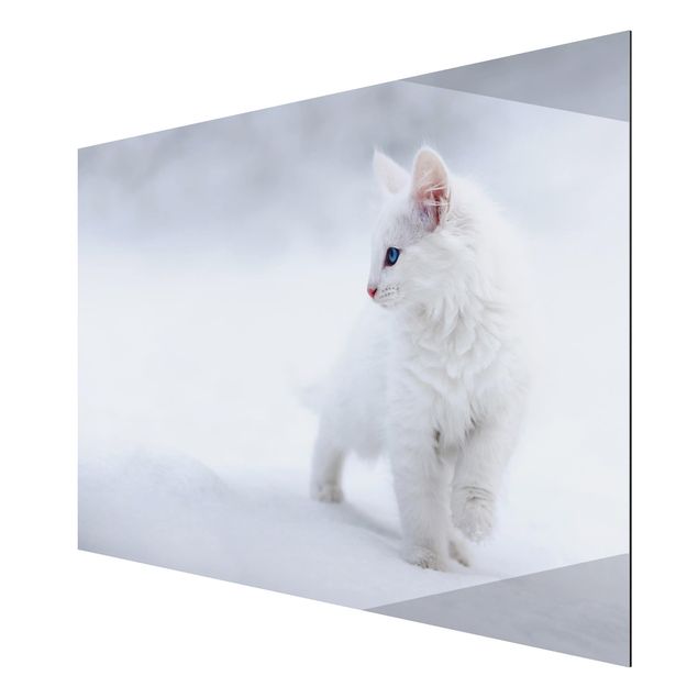 Billeder moderne White as Snow