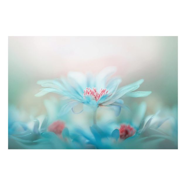 Billeder blomster Delicate Flowers In Pastel