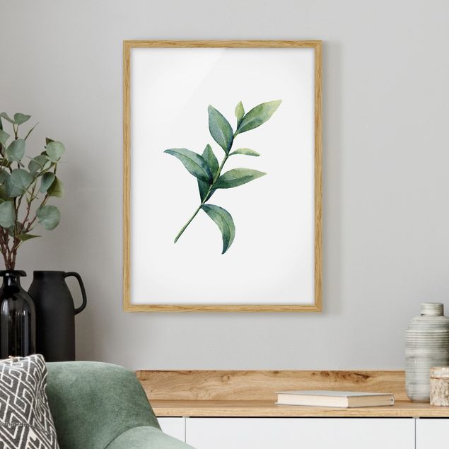 Indrammede plakater blomster Waterclolour Eucalyptus ll