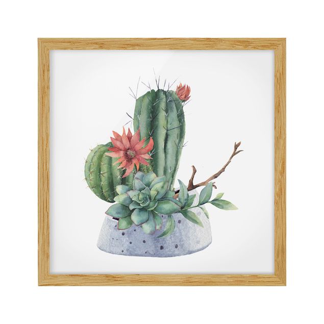 Billeder blomster Watercolour Cacti Illustration