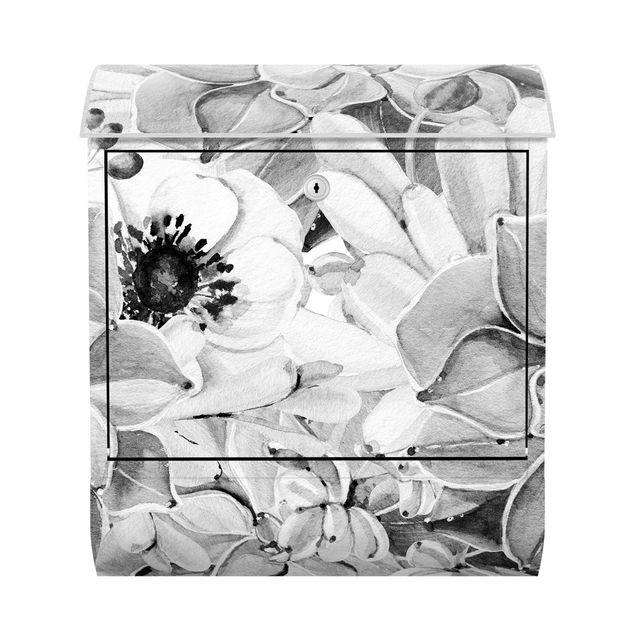 Postkasser sort og hvid Watercolour Succulent With Flower In Black And White