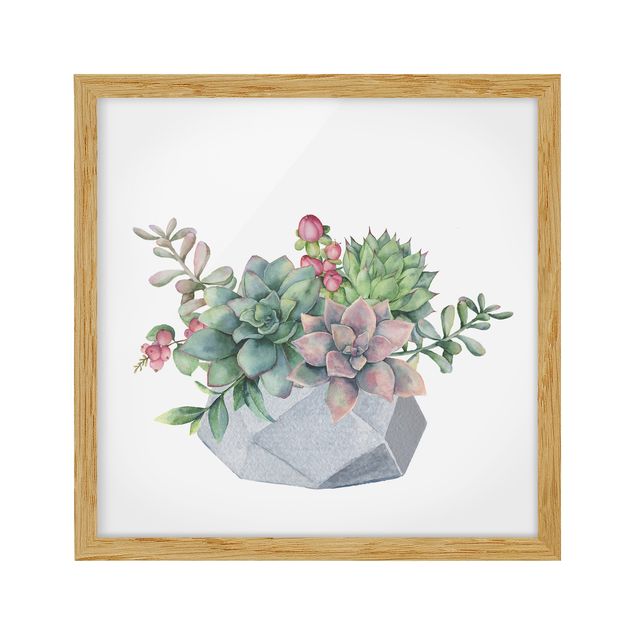 Billeder blomster Watercolour Succulents Illustration