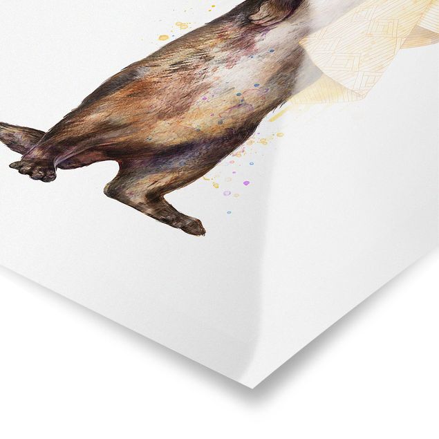 Billeder Laura Graves Art Illustration Otter With Towel Painting White