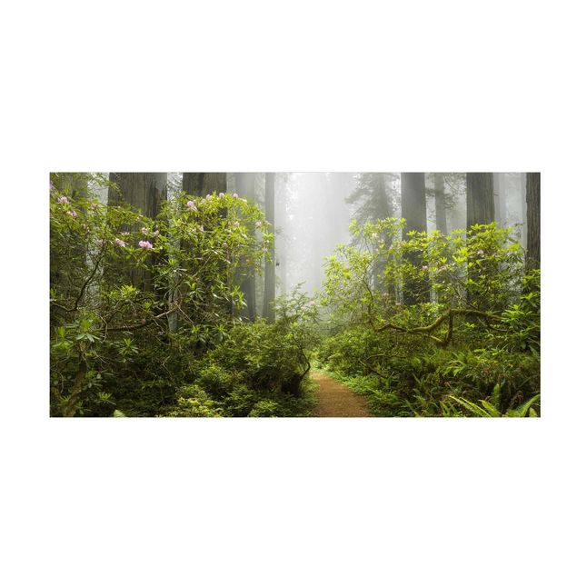 Tæpper med skov Misty Forest Path