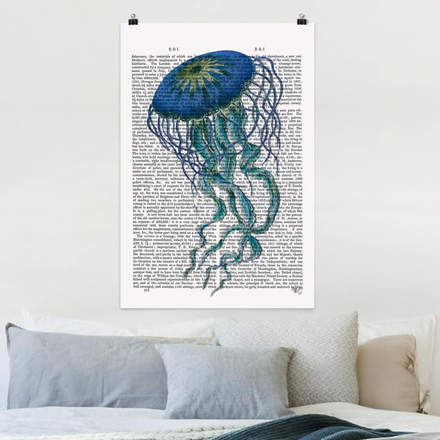 køkken dekorationer Animal Reading - Jellyfish