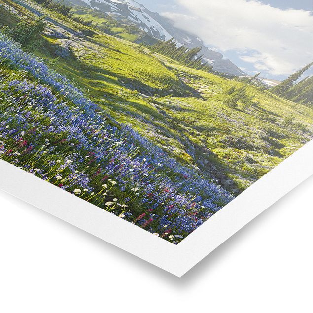 Plakater blomster Mountain Meadow With Blue Flowers in Front of Mt. Rainier
