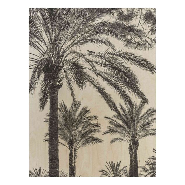 Prints på træ blomster Palm Trees At Sunset Black And White