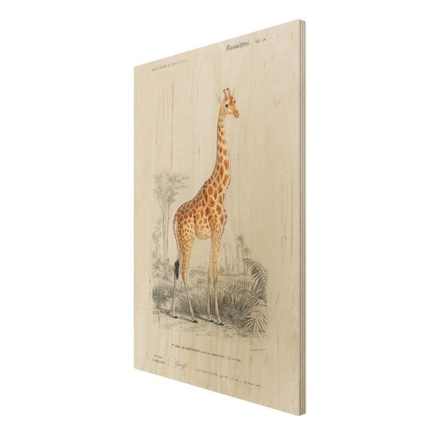 Billeder Vintage Board Giraffe