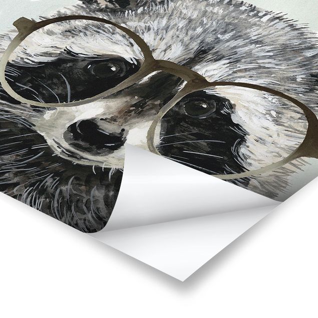 Billeder grå Animals With Glasses - Raccoon