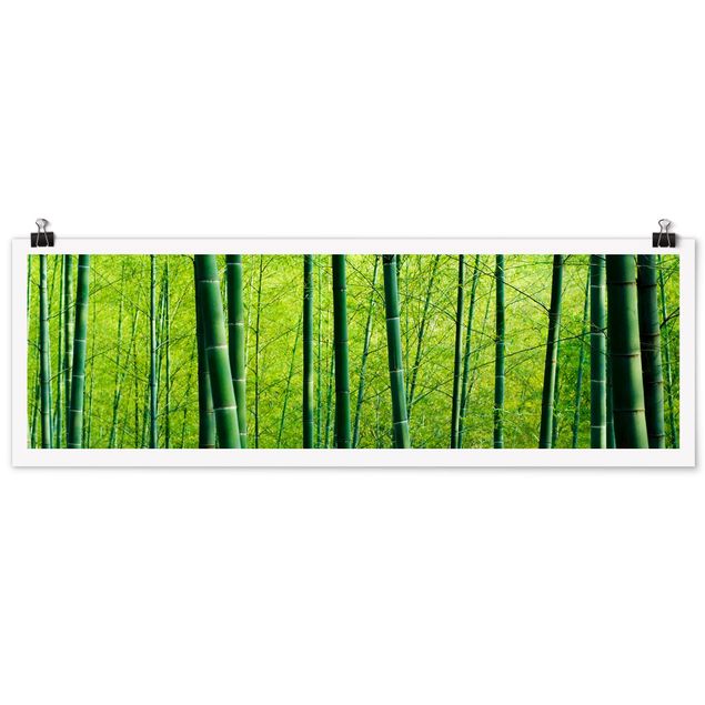 Billeder landskaber Bamboo Forest