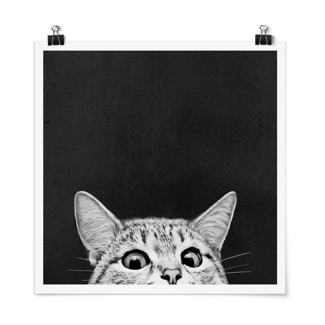 Plakater sort og hvid Illustration Cat Black And White Drawing
