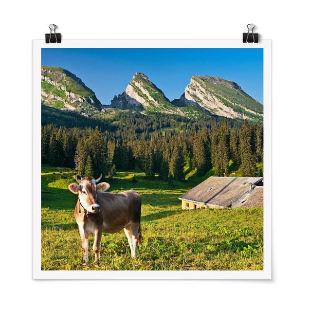 Billeder træer Swiss Alpine Meadow With Cow