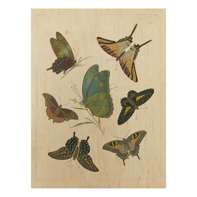Prints på træ vintage Vintage Illustration Exotic Butterflies