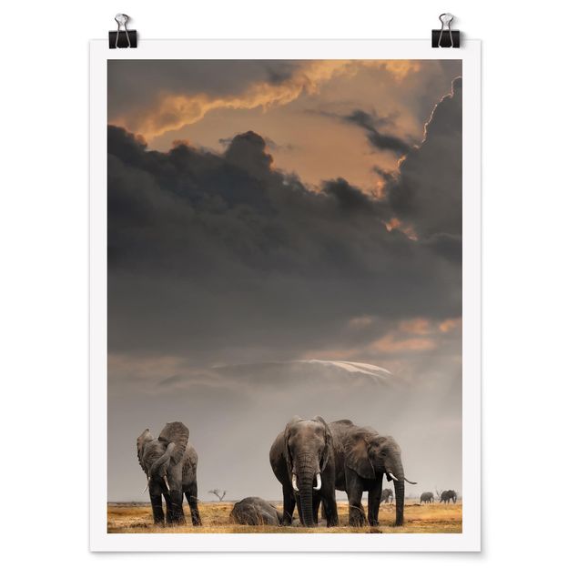 Plakater landskaber Elephants in the Savannah