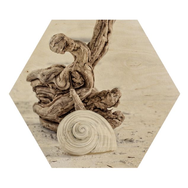 Prints på træ landskaber White Snail Shell And Burl