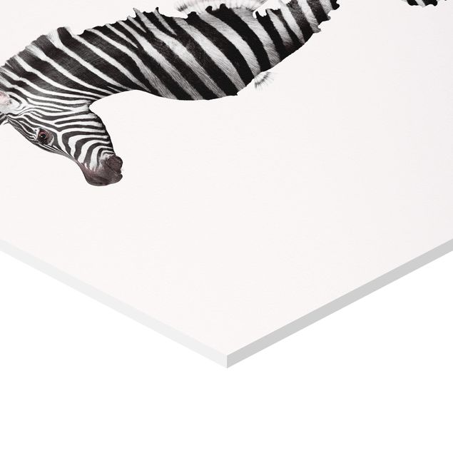 Forex Seahorse With Zebra Stripes