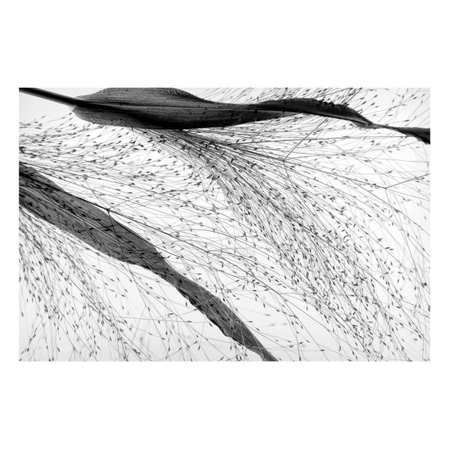 Magnettavler blomster Delicate Reed With Subtle Buds Black And White