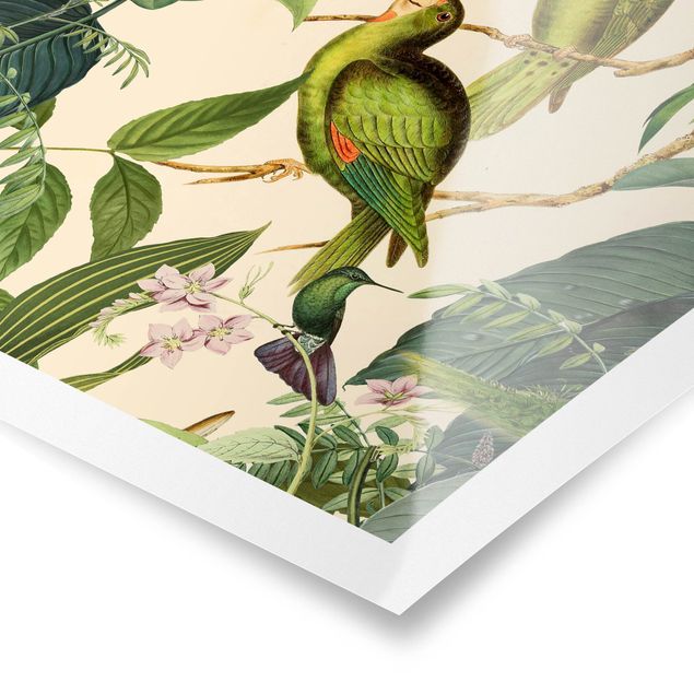 Billeder grøn Vintage Collage - Parrots In The Jungle