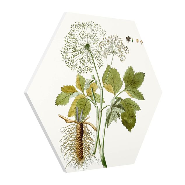Billeder moderne Wild Herbs Board IV