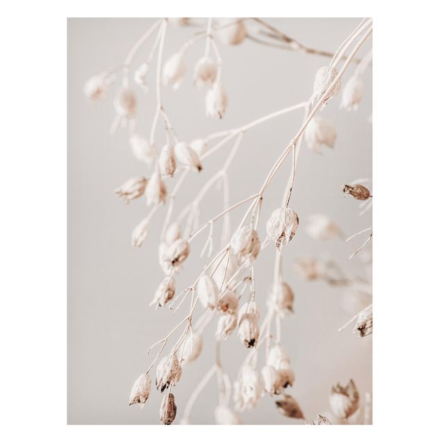 Magnettavler blomster Hanging Dried Buds