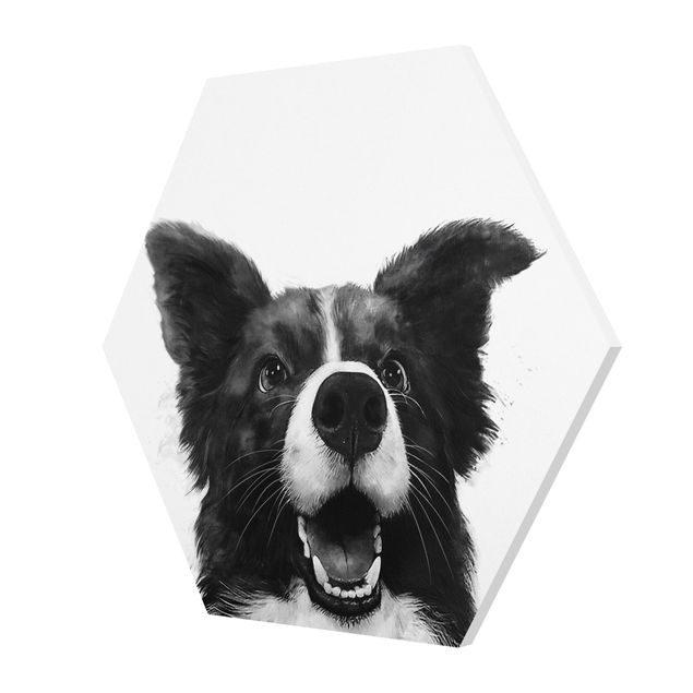 Billeder sort og hvid Illustration Dog Border Collie Black And White Painting