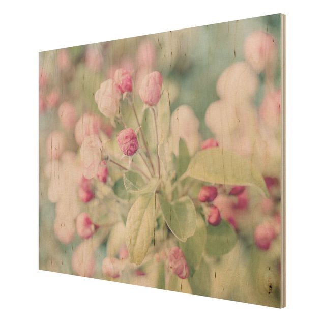 Prints på træ vintage Apple Blossom Bokeh Light Pink