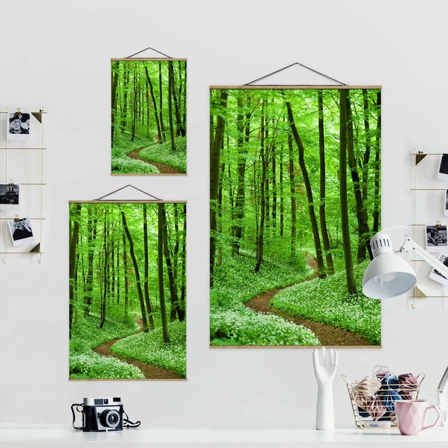 Billeder grøn Romantic Forest Track