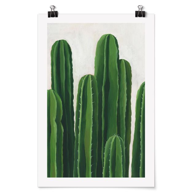 Billeder blomster Favorite Plants - Cactus