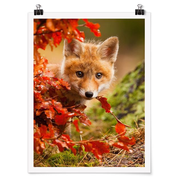 Plakater blomster Fox In Autumn