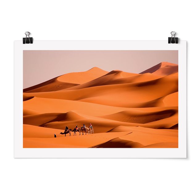 Plakater dyr Namib Desert