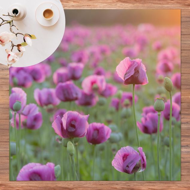 tæpper til terrasse Purple Poppy Flower Meadow In Spring