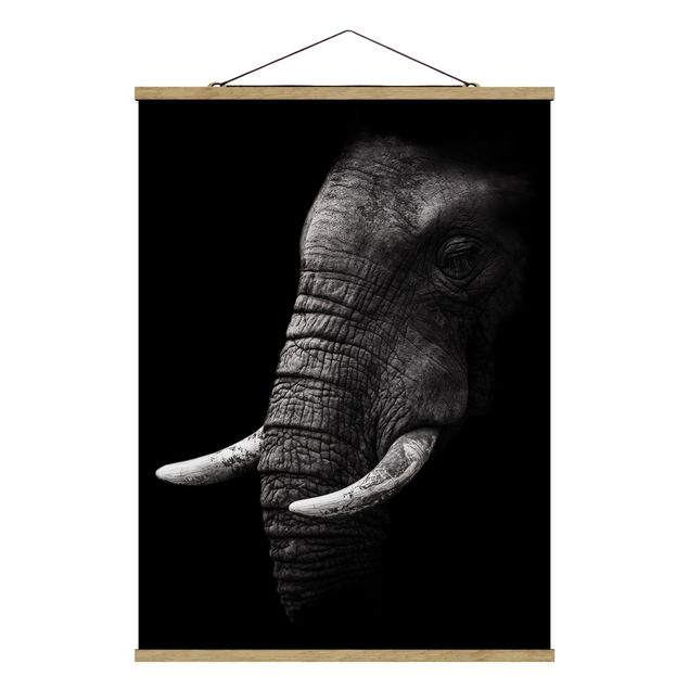 Billeder natur Dark Elephant Portrait