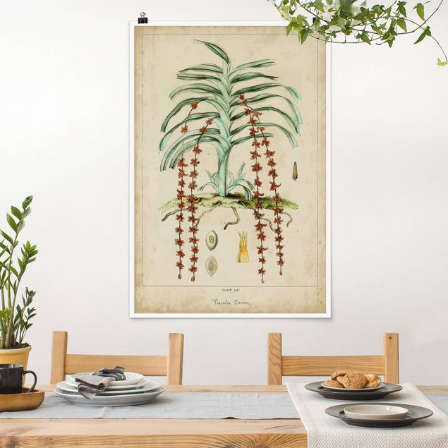 køkken dekorationer Vintage Board Exotic Palms IV