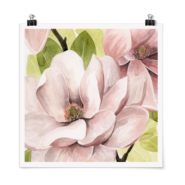 Billeder blomster Magnolia Blush I