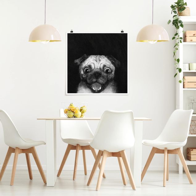 Plakater sort og hvid Illustration Dog Pug Painting On Black And White