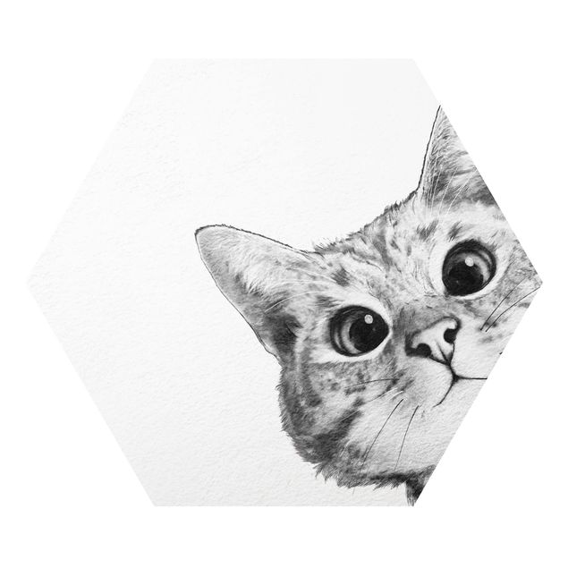 Billeder moderne Illustration Cat Drawing Black And White